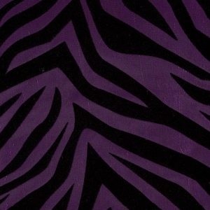 Amethyst Zebra Fever