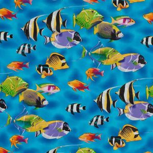 Aquarium