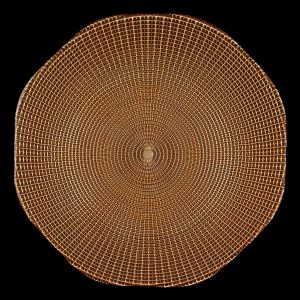 Eternity Brown Gold Glass Charger