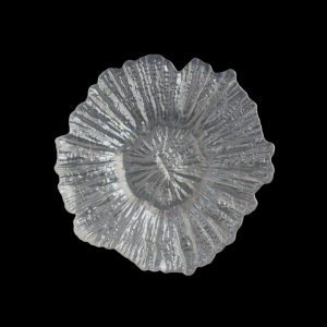 Sea Sponge Pearl White Bread and Butter Glass Charger