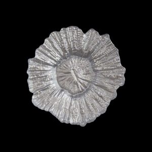 Sea Sponge Silver Bread and Butter Glass Charger