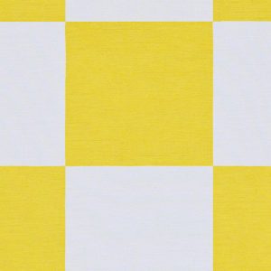 Sunshine Check Shantung