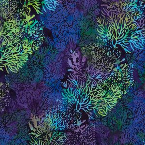 Coral Reefs Nights
