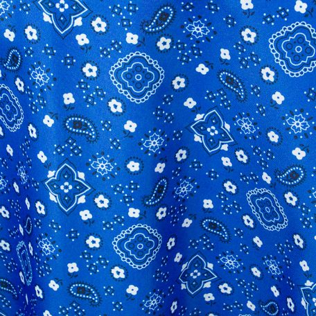 blue bandana pants