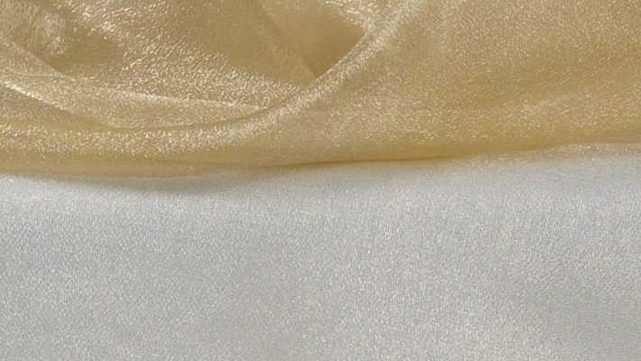 Champagne Sheer Organza