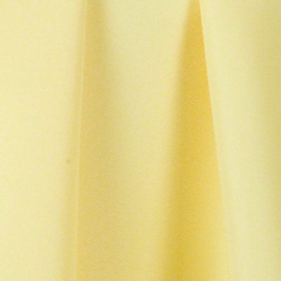 Maize Polyester