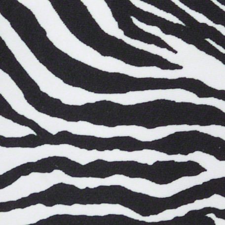 Zebra Spandex