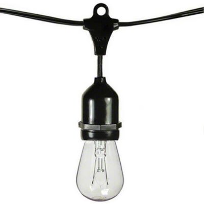 edison string light