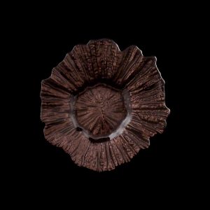 Sea Sponge Chocolate Bread and Butter Glass Charger