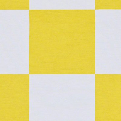 Sunshine Check Shantung