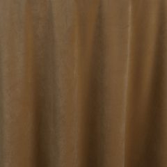 Create drama and excitement for any event with Caramel Velvet table linen. This delicate caramel color becomes dramatic with the opalescent plush fabric.