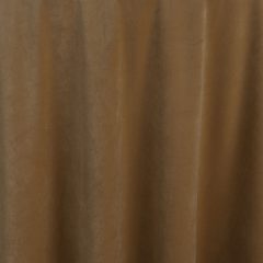 Create drama and excitement for any event with Caramel Velvet table linen. This delicate caramel color becomes dramatic with the opalescent plush fabric.