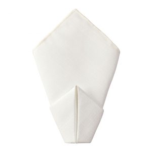 Rent a variety of dinner napkins from Fabulous Events for your special event.