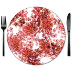 Table Placemat rental from Fabulous Events. Rent these glass placemats for your Wedding or Gala.