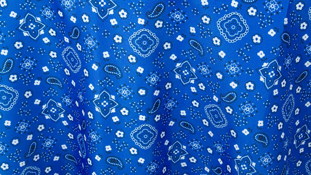 Blue Bandana