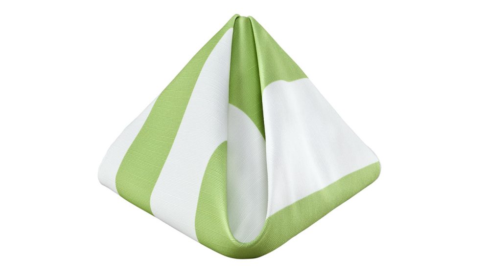 Aloe Cabana Stripe - Image 3