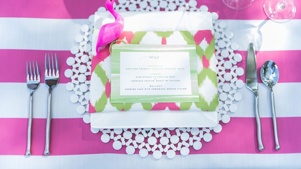 Watermelon Cabana Stripe - Image 5