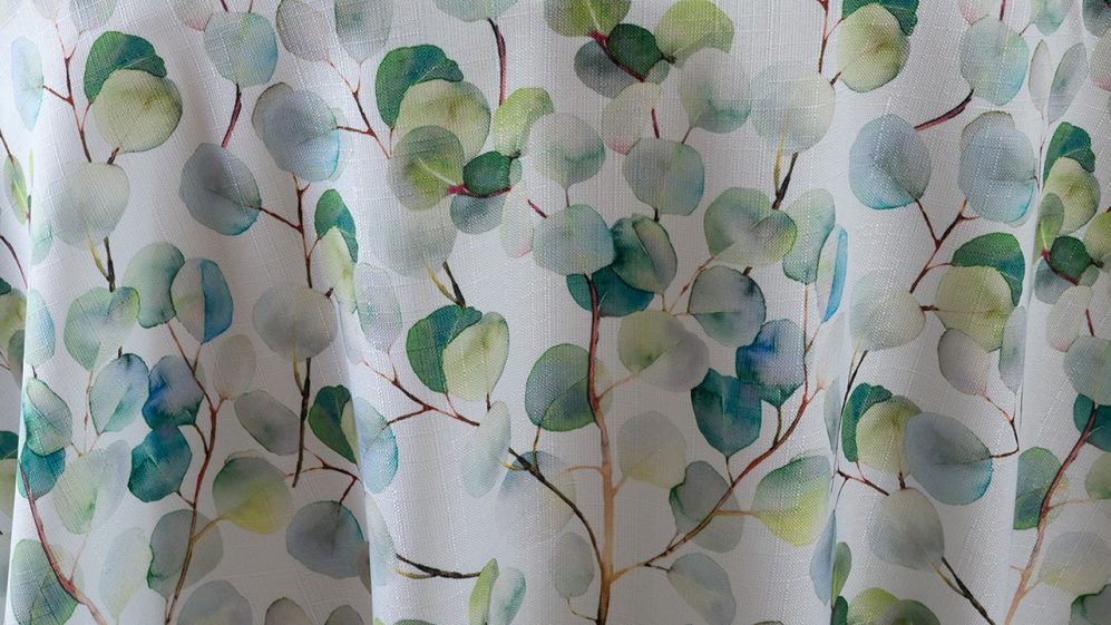 Eucalyptus