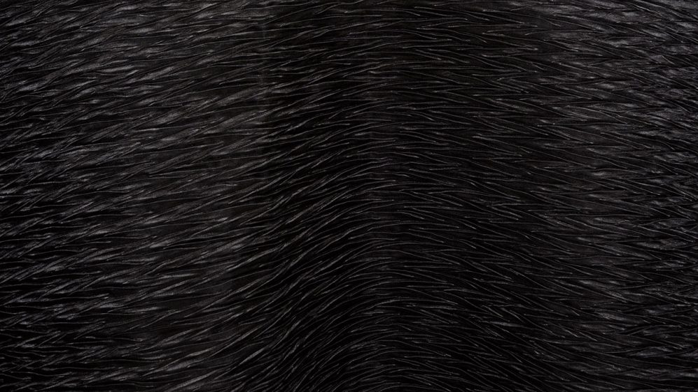 Black Extreme Crush