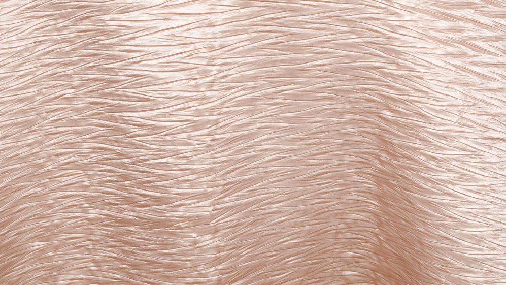Blush Extreme Crush