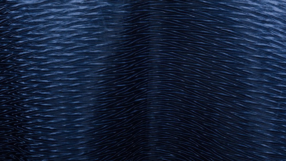 Navy Blue Extreme Crush