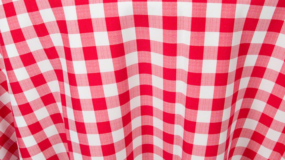 Red Gingham Check