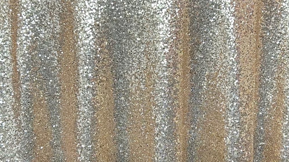 Gold Sequins Net Rental