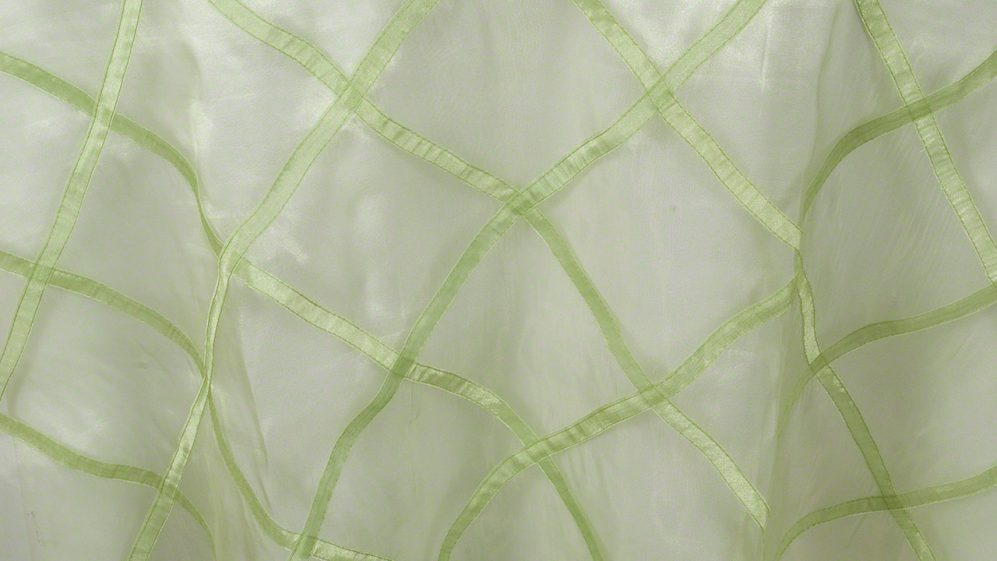 Kiwi Harlequin Sheer