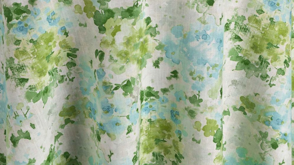 Meadow Hydrangea