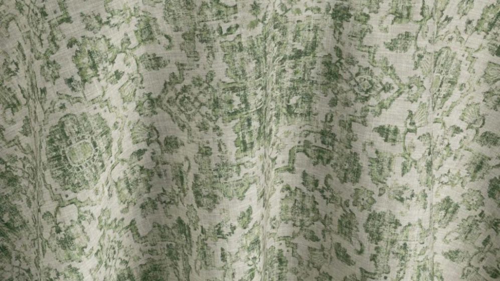 Lichen Ezra
