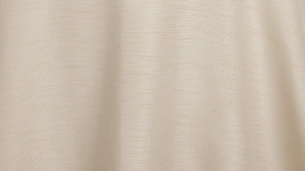 Beige Majesty Dupioni