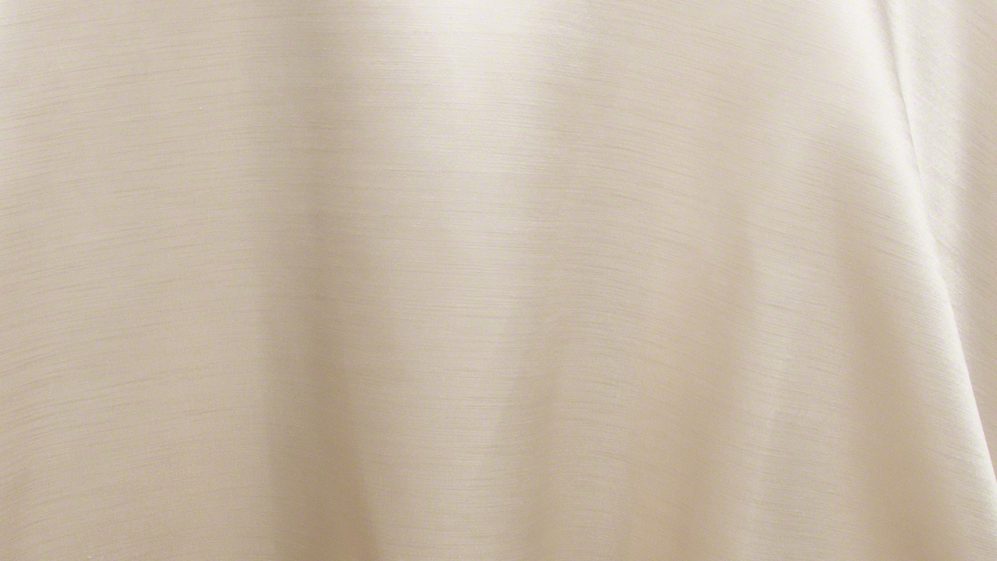 Beige Majesty Dupioni - Image 2