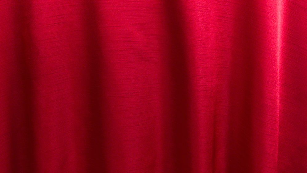 Cherry Majesty Dupioni - Image 2