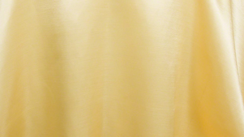 Cornsilk Majesty Dupioni - Image 2