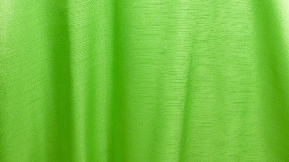 Lime Majesty Dupioni - Image 2