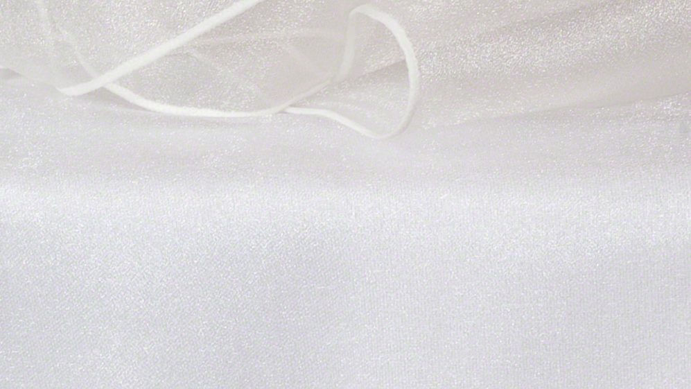 Ivory Organza