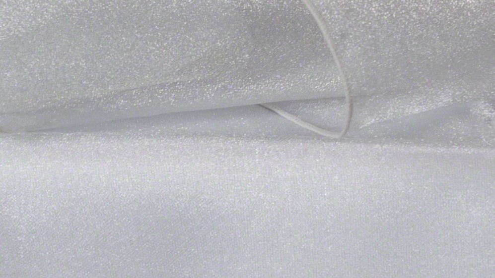 Silver Organza
