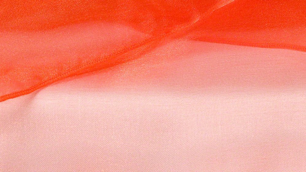 Tiger Lily Organza