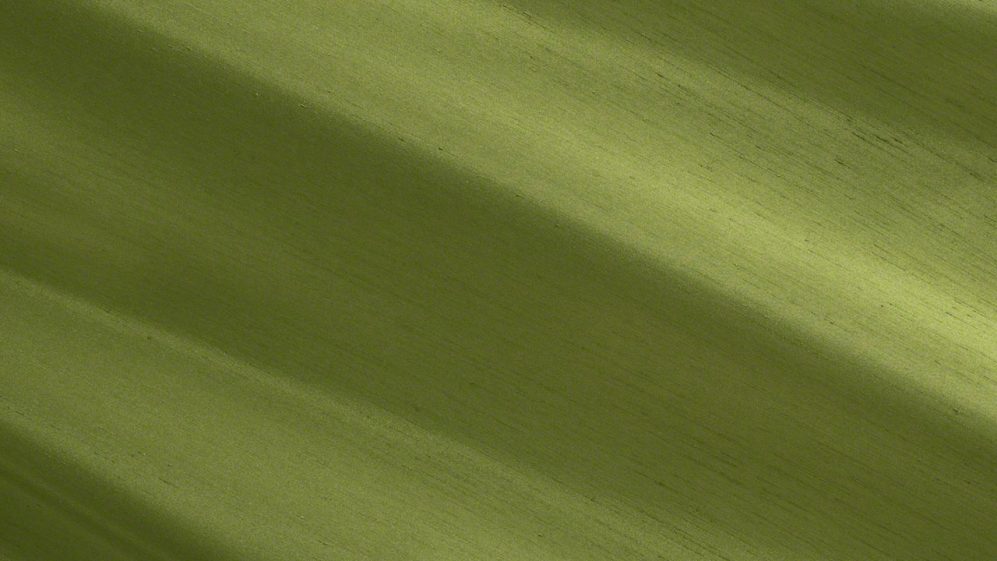 Loden Shantung