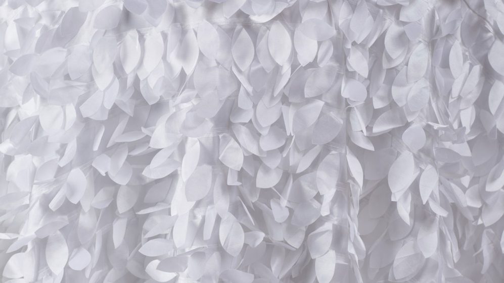 White Petal