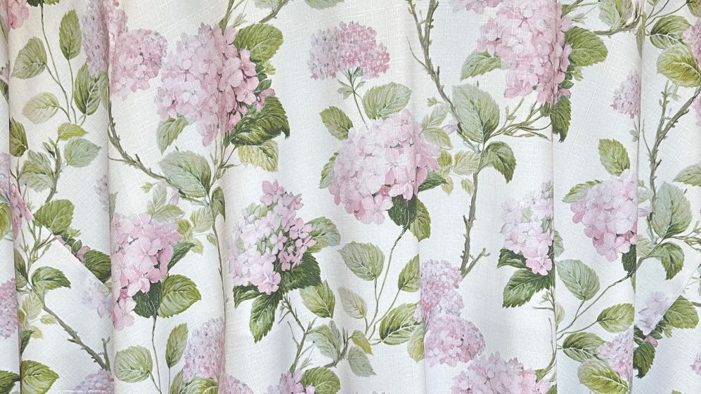 Blush Hydrangea