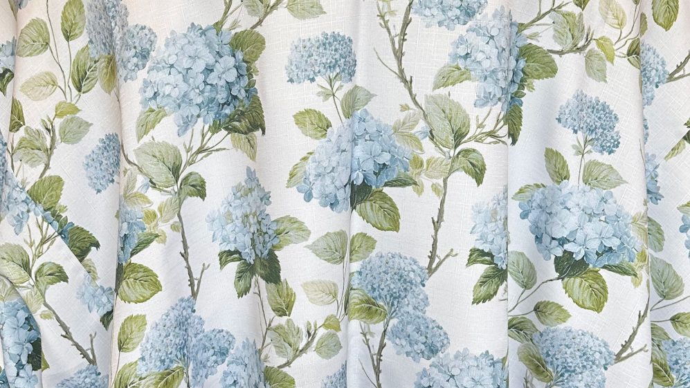 Sky Hydrangea